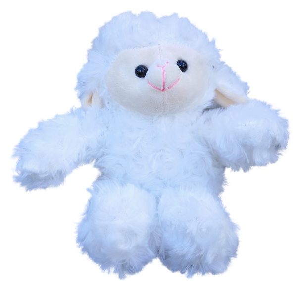 Small Plush Lamb with Tee