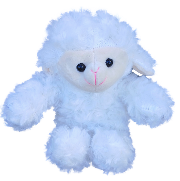 Small Plush Lamb with Tee