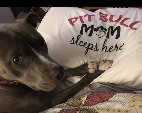 Pillowcase - Create your own custom design