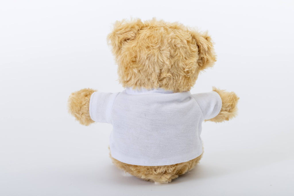 Print on Demand Plush Teddy Bear with Tee – CustomHappy