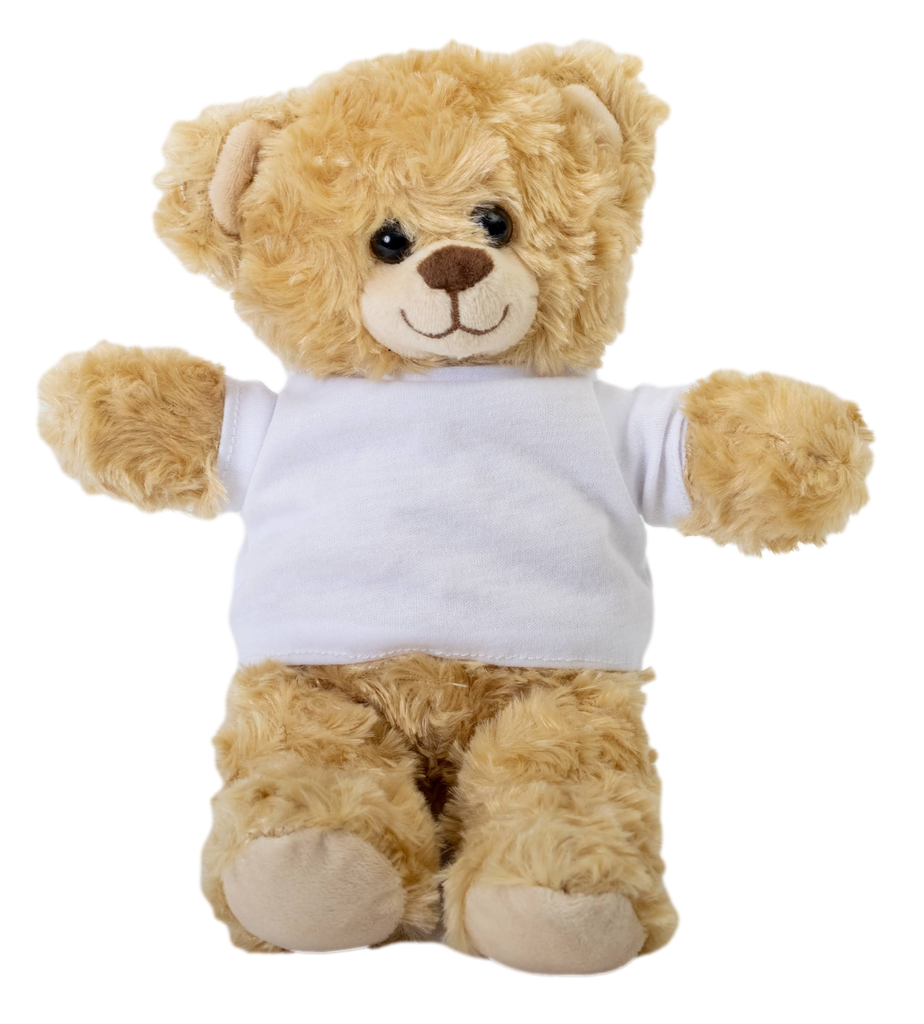 Teddy bear discount with white shirt